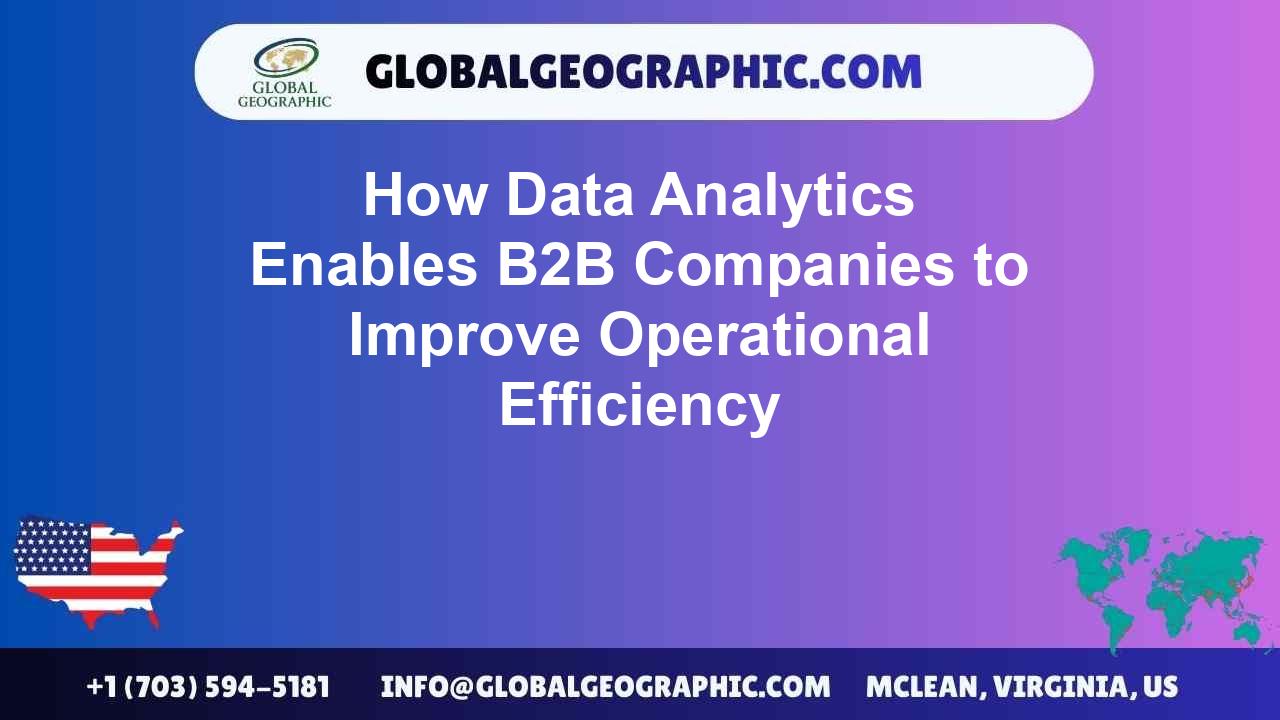 How Data Analytics Enables B2B Companies to Improve Operational Efficiency